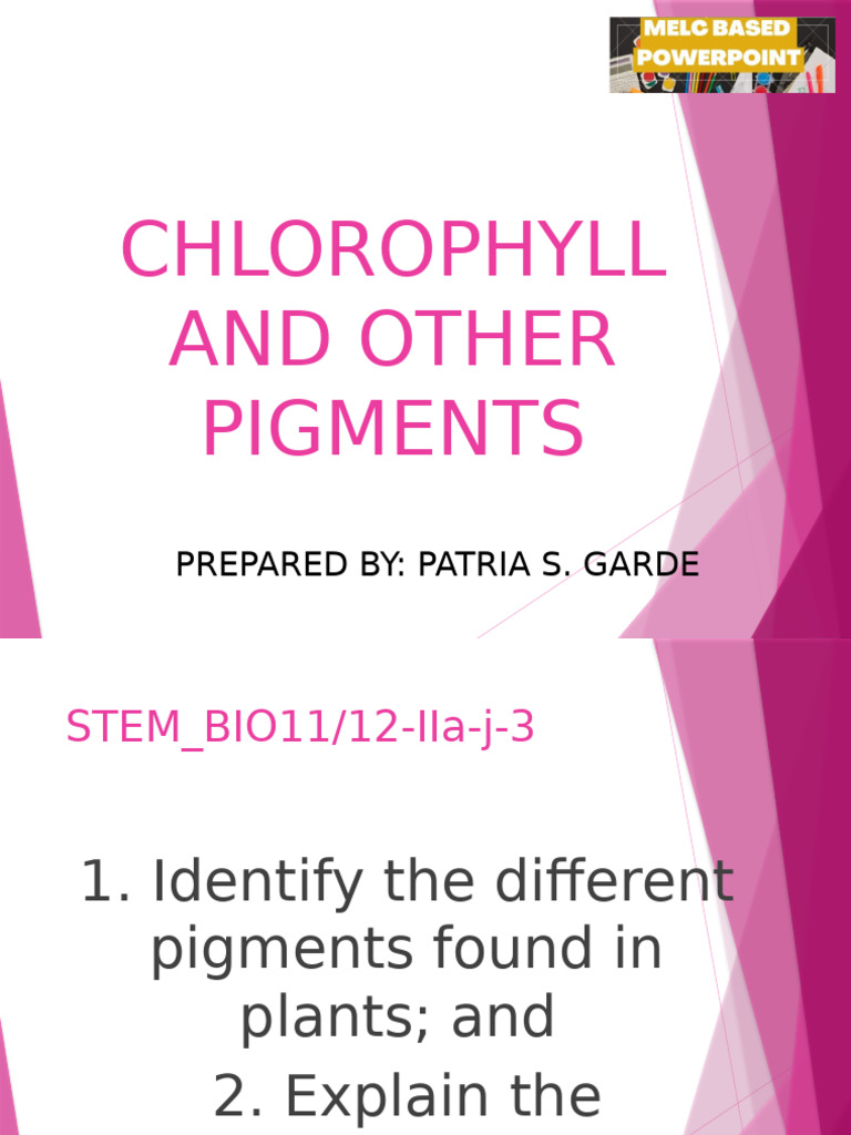 Chlorophyll and Plant Pigments Overview | PDF | Chloroplast | Chlorophyll