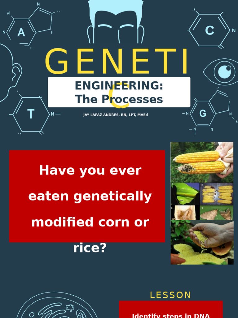 Genetic Engineering Processes Explained | PDF | Recombinant Dna ...