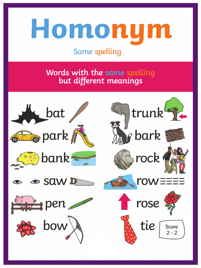 T2 E 405 Large Homograph Display Poster Ver 3 | PDF