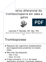 diagnostico_diferencial_trombocitopenias