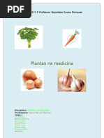 Plantas na medicina - 5º H versão final