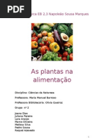 As plantas na alimentação 5ºH Grupo nº 2