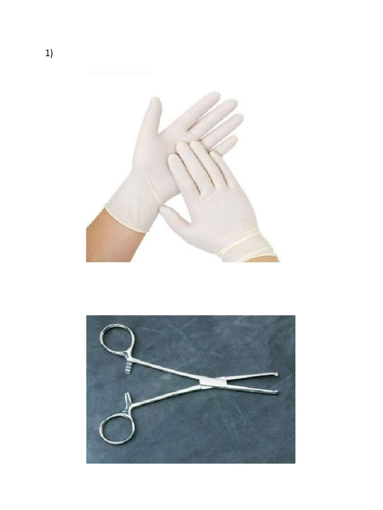 Dissections Tool | PDF