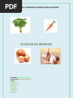 Plantas na medicina - 5º H versão final