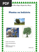 Plantas usadas na indústria- GRUPO 3 (1)