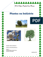 Plantas usadas na indústria- GRUPO 3 (1)