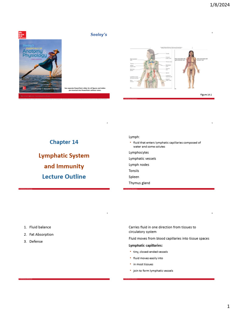 Lymphatic System and Immunity Overview | PDF | Lymphatic System ...