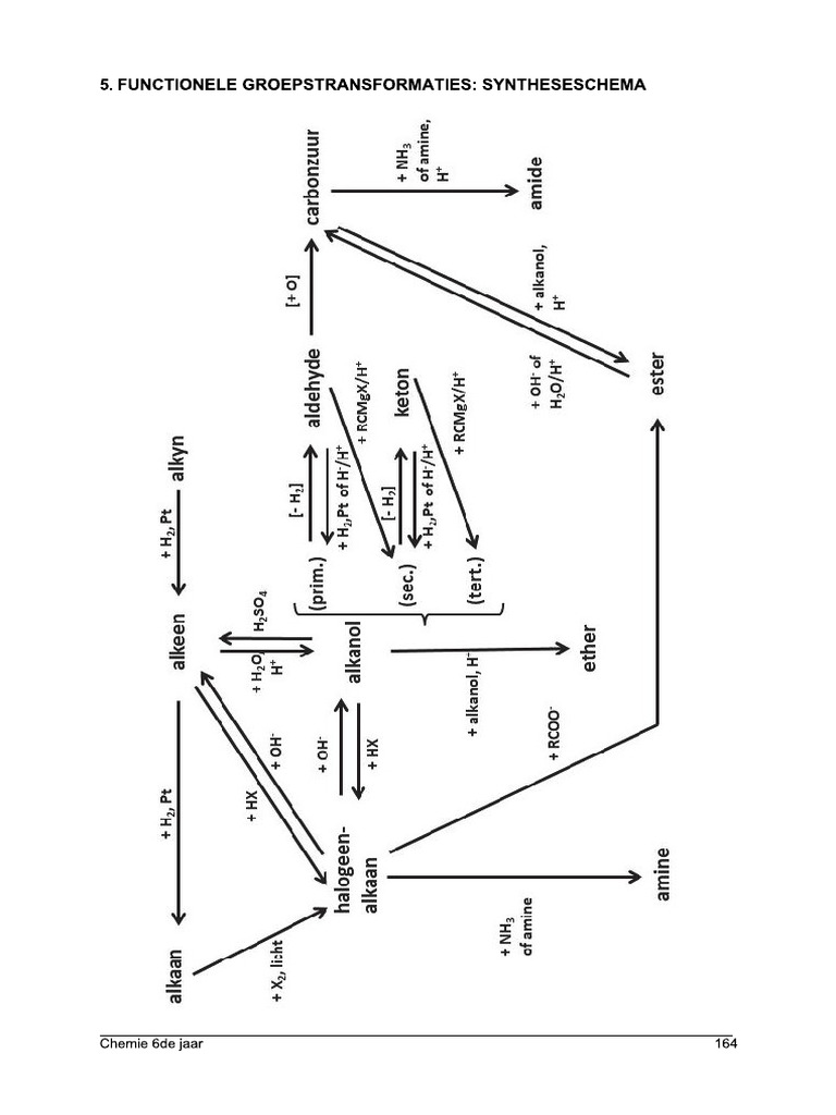 Functionele Groepstransformaties Synteseschema | PDF