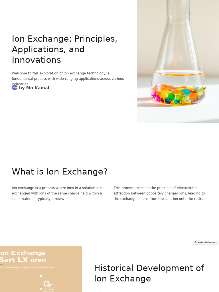 Ion Exchange Principles Applications and Innovations | PDF | Ion ...