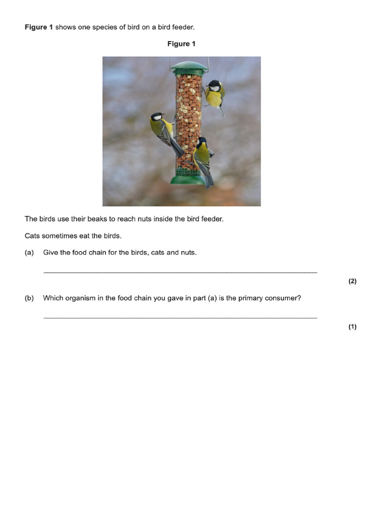 Science Print Questions | PDF