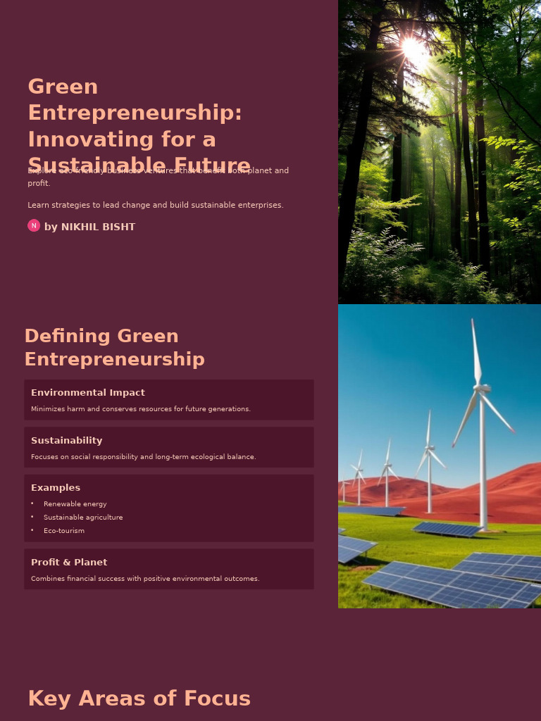 Green Entrepreneurship for Sustainability | PDF | Sustainability ...