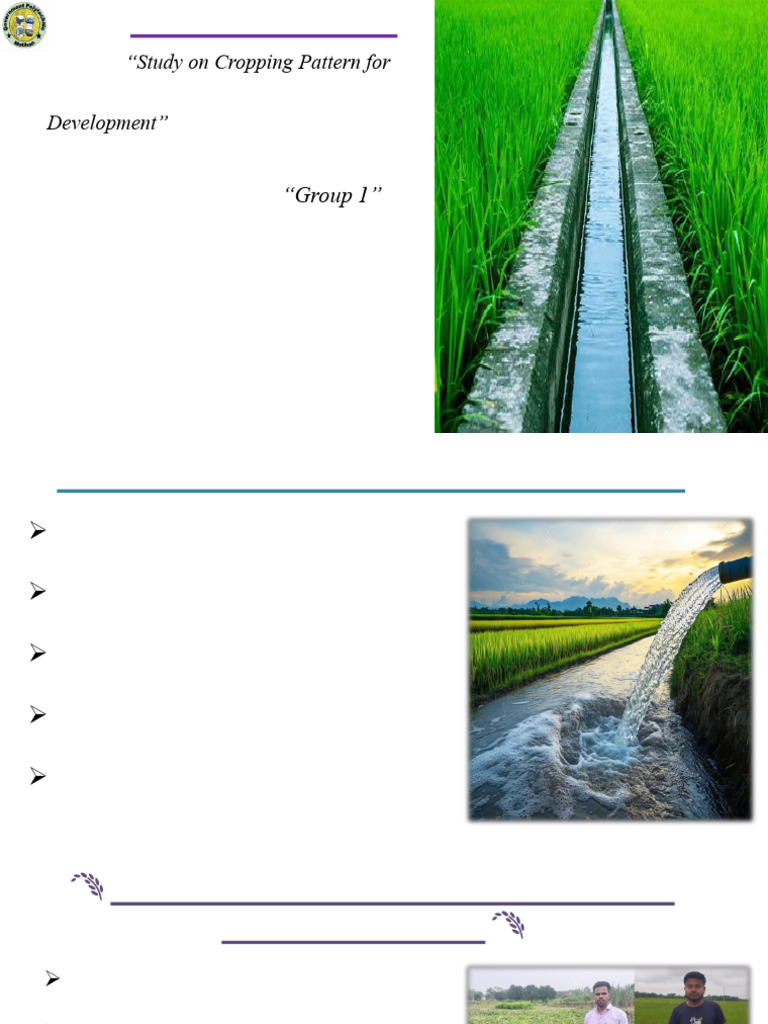 Cropping Patterns in Gandak Project | PDF | Agriculture | Crop Rotation