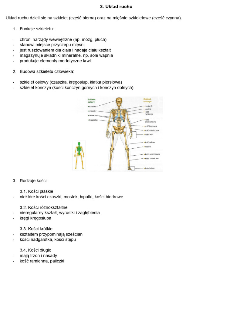 Układ Ruchu | PDF