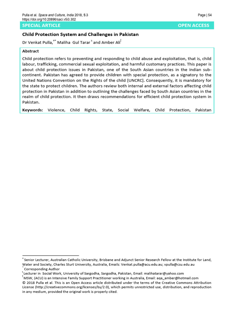 Child Protection System and Challenges I | PDF | Child Protection ...