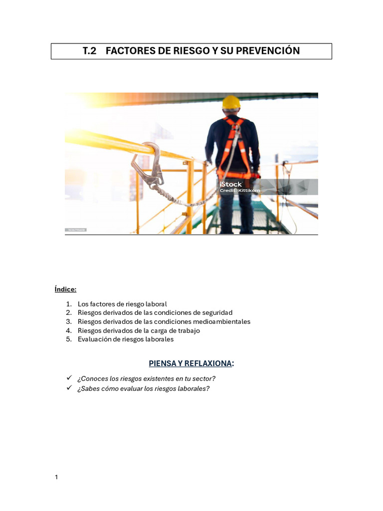 Prevención de Riesgos Laborales Esenciales | PDF | ruido | Radiación