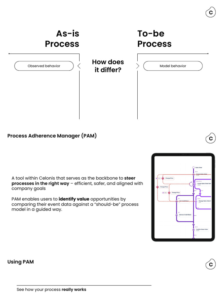 Celonis PAM: Process Improvement Guide | PDF