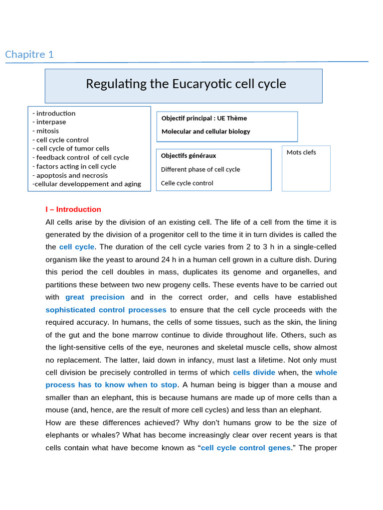 Understanding the Cell Cycle Stages | PDF | Cell Cycle | Mitosis