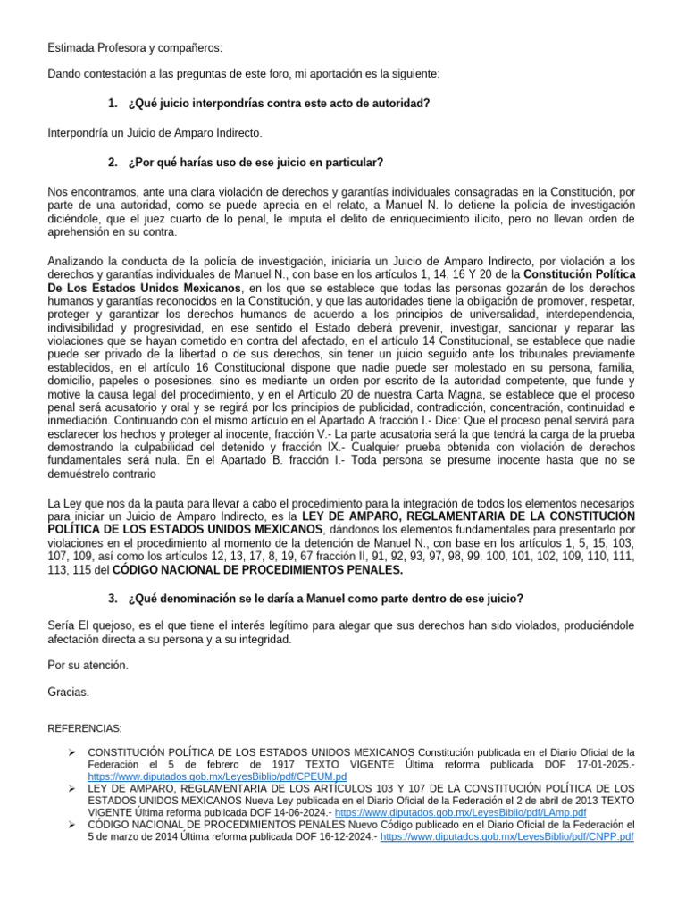 Juicio de Amparo Indirecto en México | PDF | Violación | Derecho ...