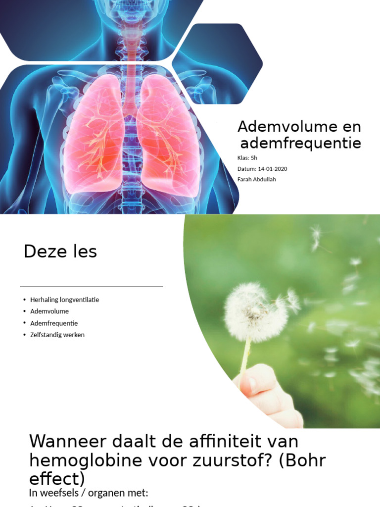 3.3 Ademhalen en Ademfrequentie | PDF
