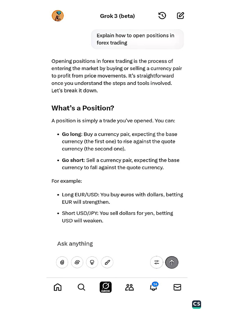 Positions in FX Trading | PDF