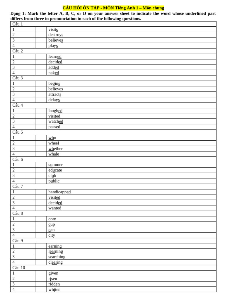 SV | PDF | Internet Access