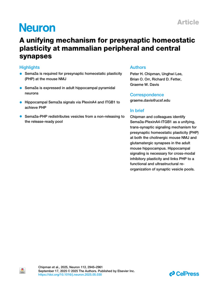 Sema3a Mechanism in Presynaptic Plasticity | PDF | Synapse | Chemical ...