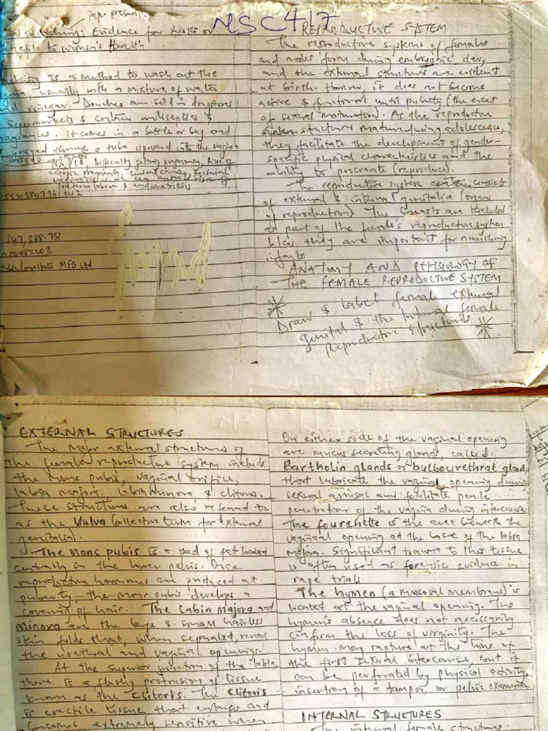 NSC 417 (Reproductive System) | PDF