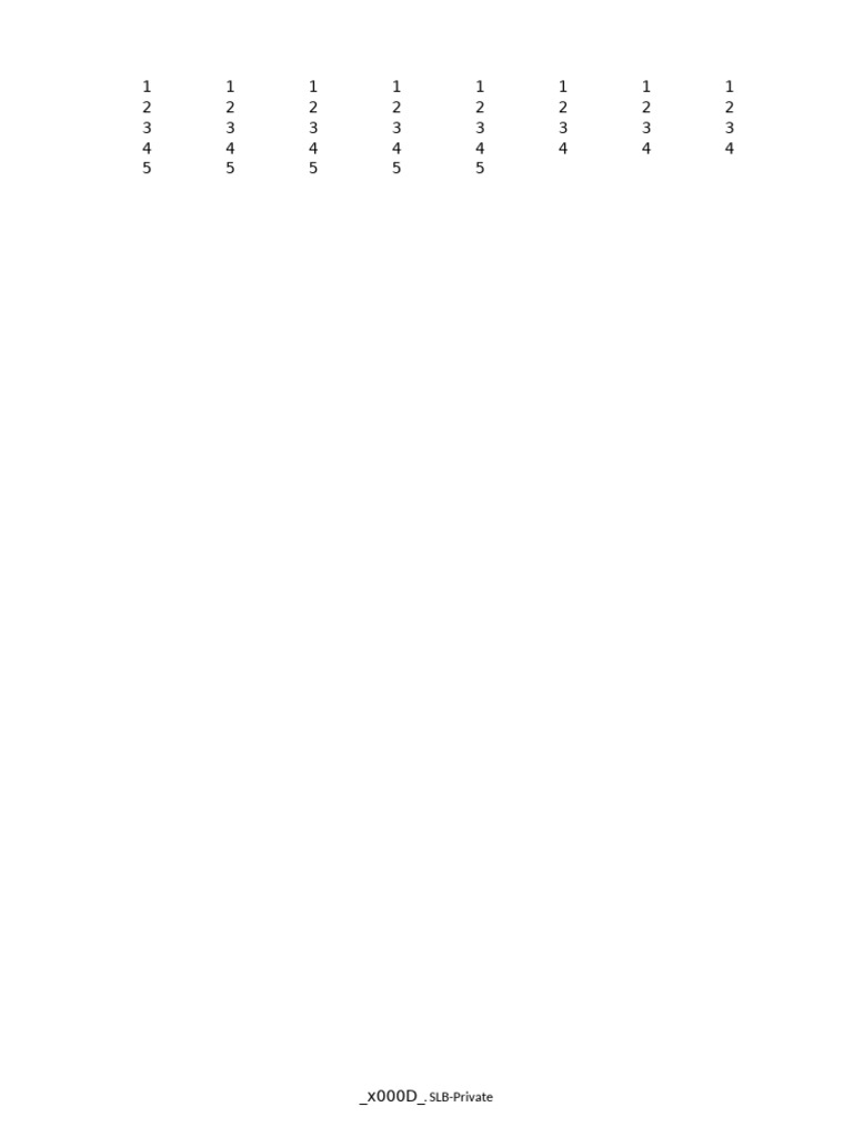 SLB Private | PDF
