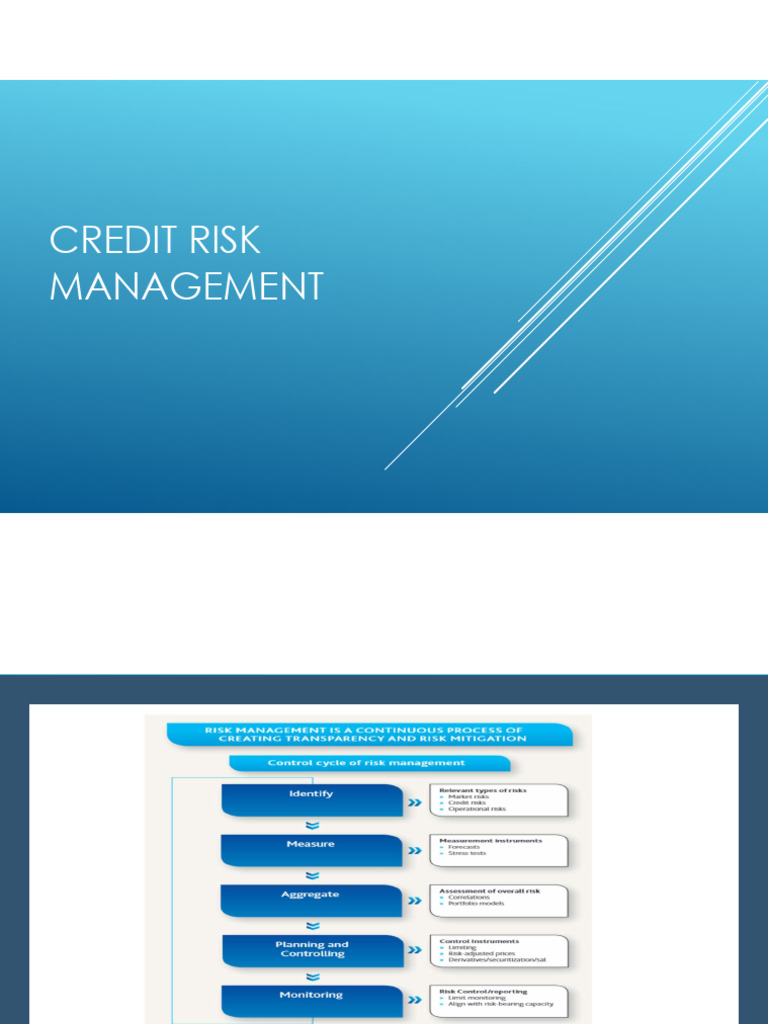Indian Banks' Credit Risk Management | PDF | Credit Risk | Banks