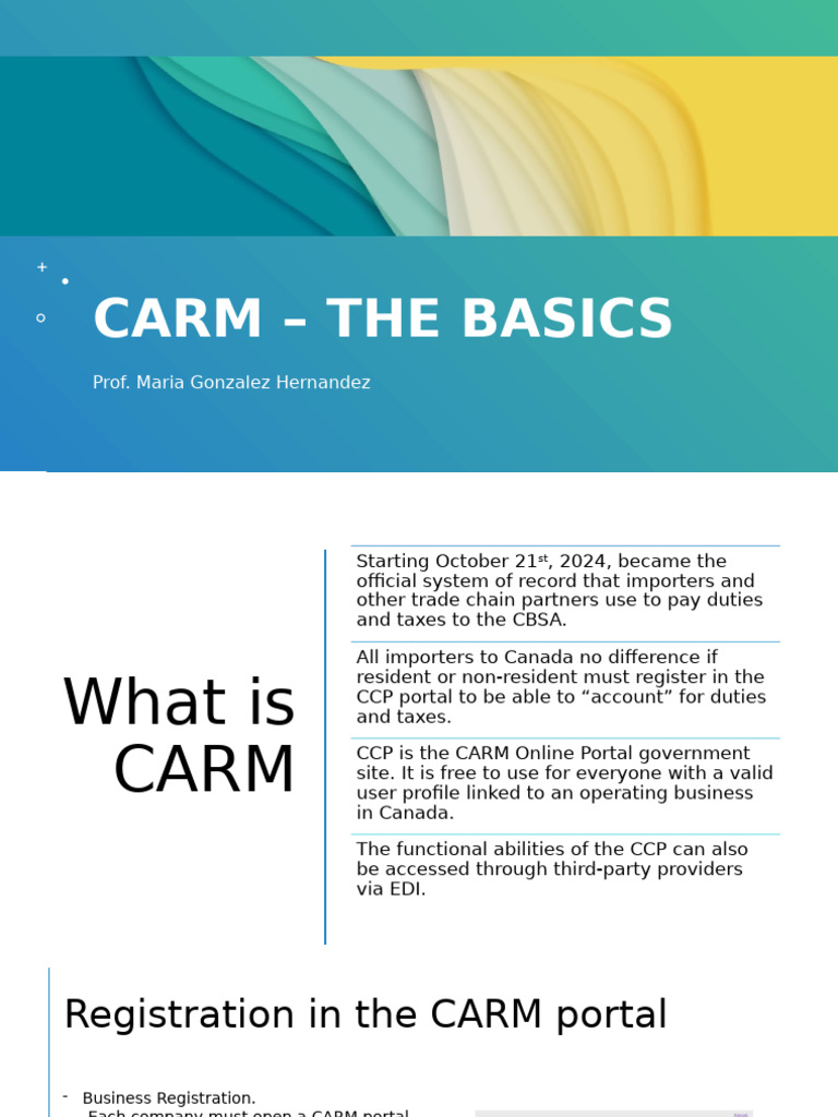 CARM Registration and CAD Overview | PDF | Customs | Payments