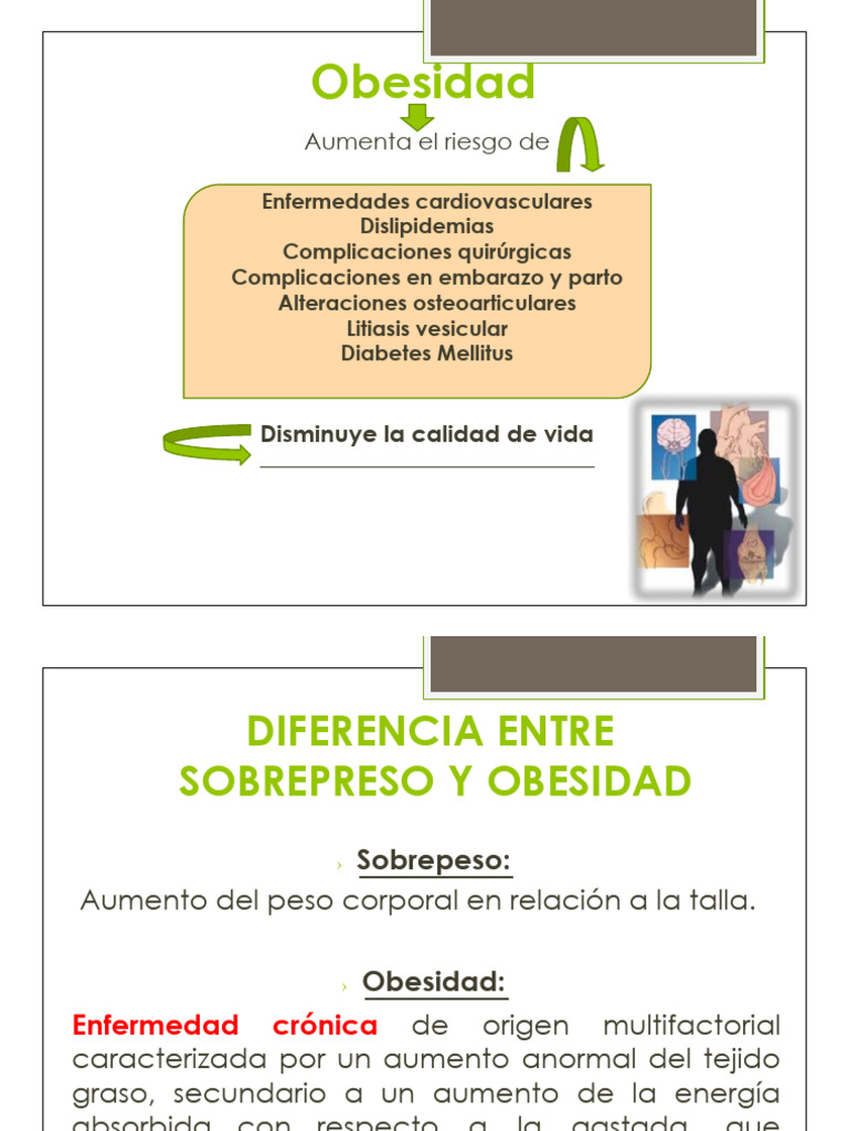 Causas y Riesgos de la Obesidad | PDF | Obesidad | Alimentos
