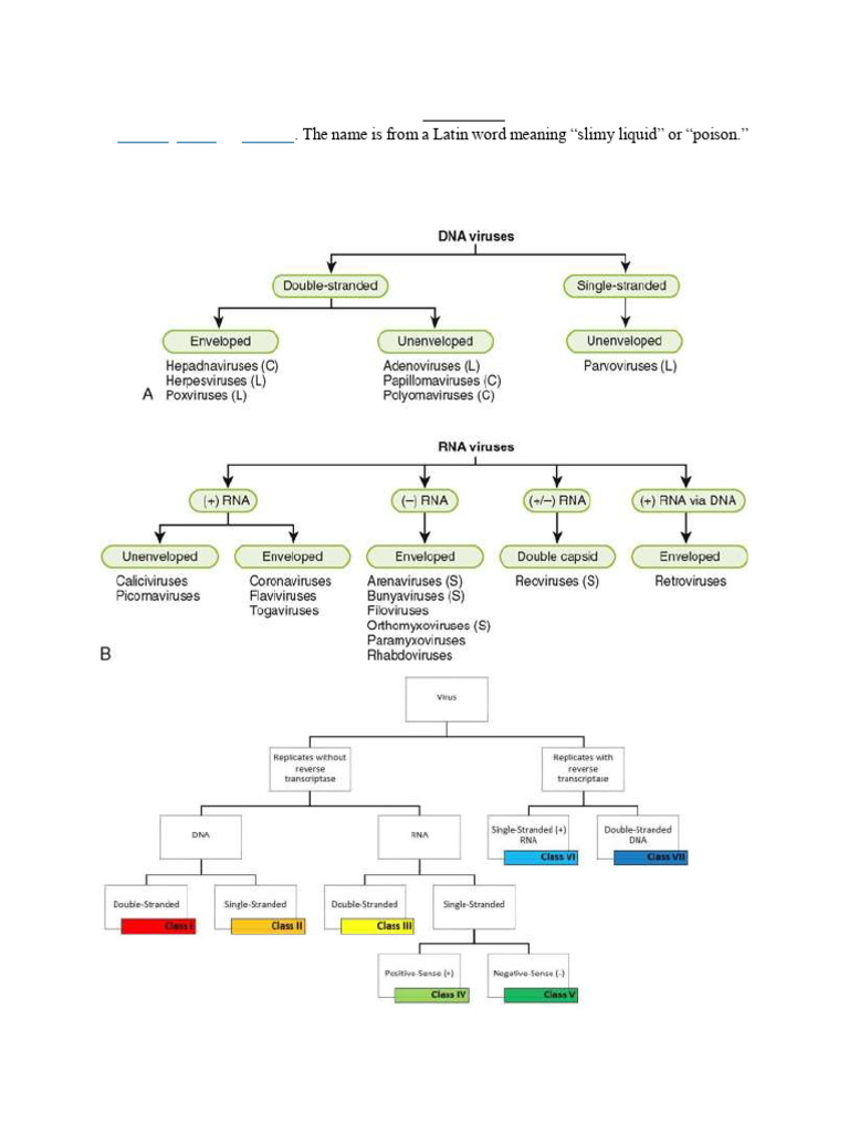 Lecture 7 | PDF | Virus | Microorganism