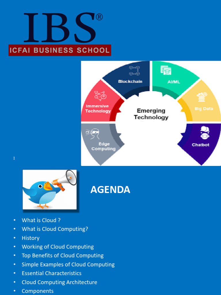 IBS Cloud Overview | PDF | Cloud Computing | Software As A Service
