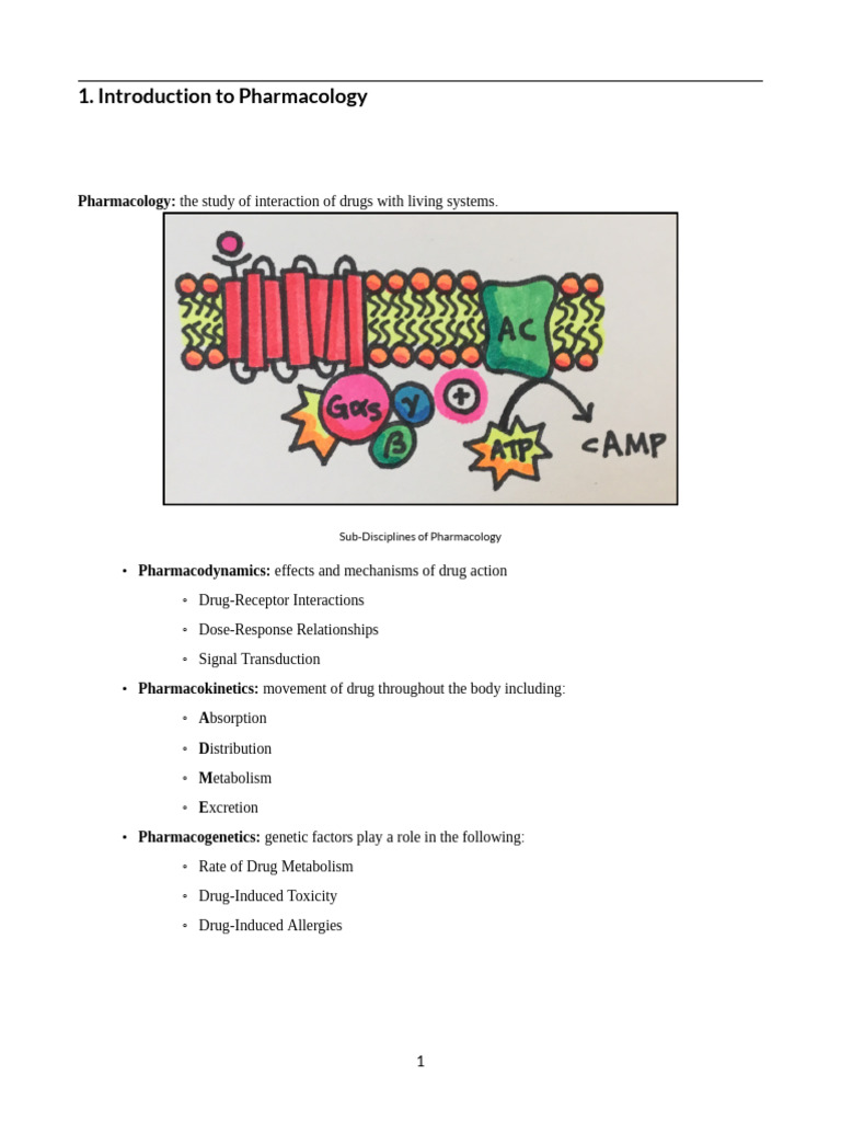 Introduction to Pharmacology Basics | PDF