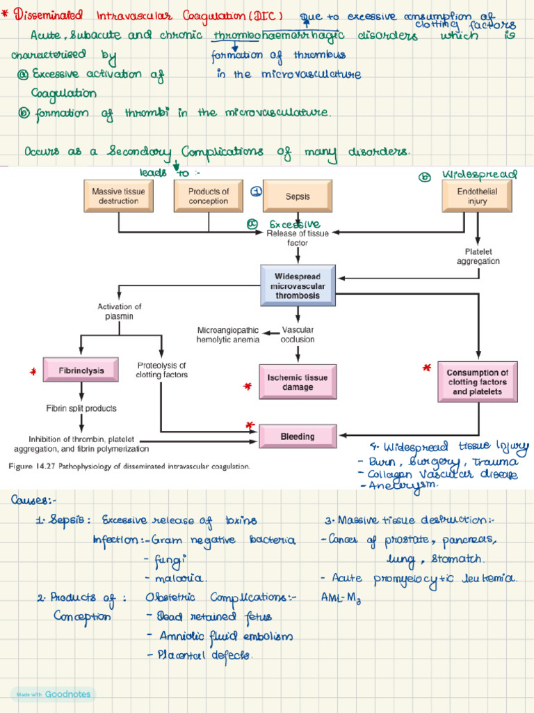 Disseminated Intravascular Coagulation (DIC) | PDF | Diseases And ...