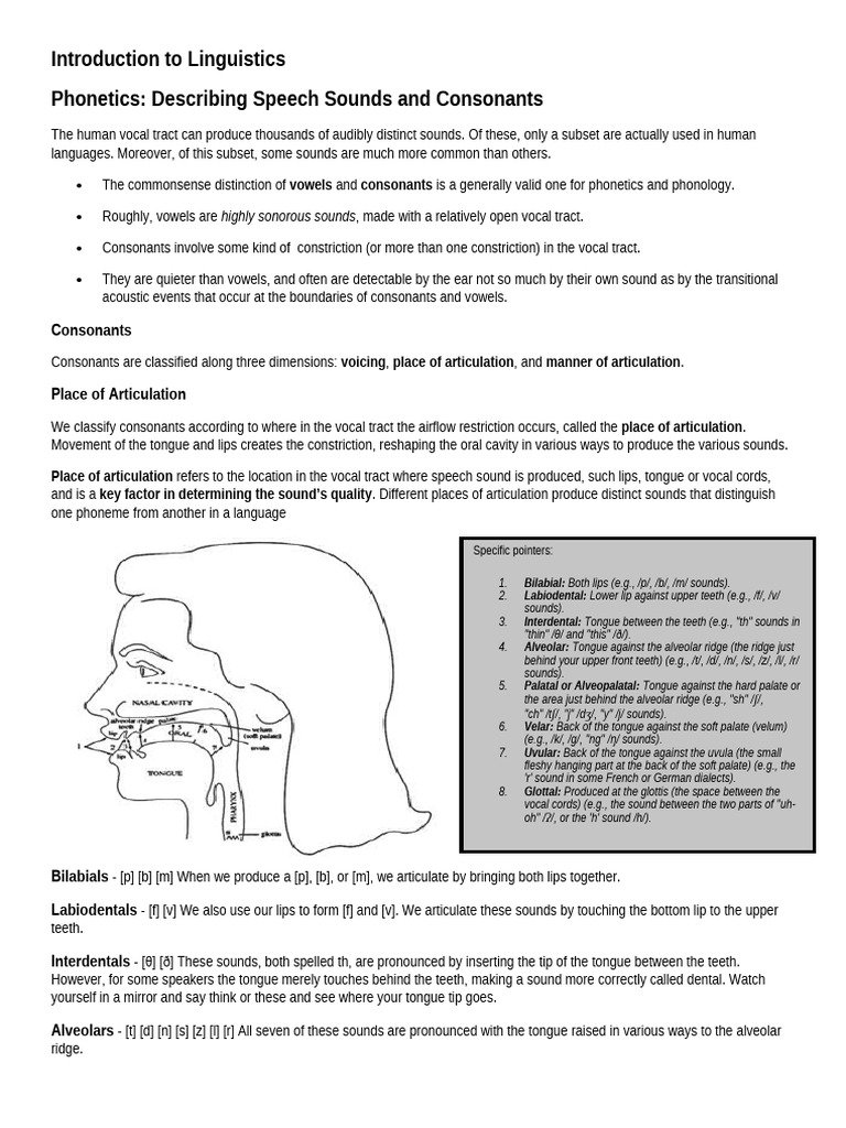 Understanding Consonant Articulation | PDF | Linguistics | Human Voice
