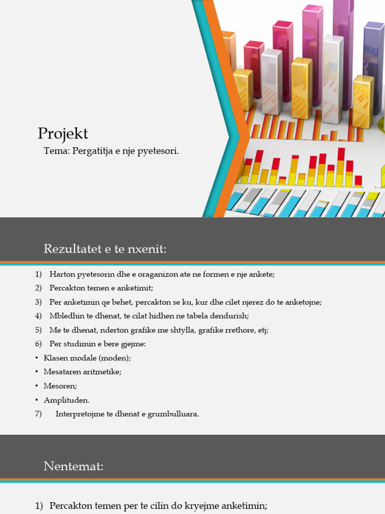 Anketimi | PDF