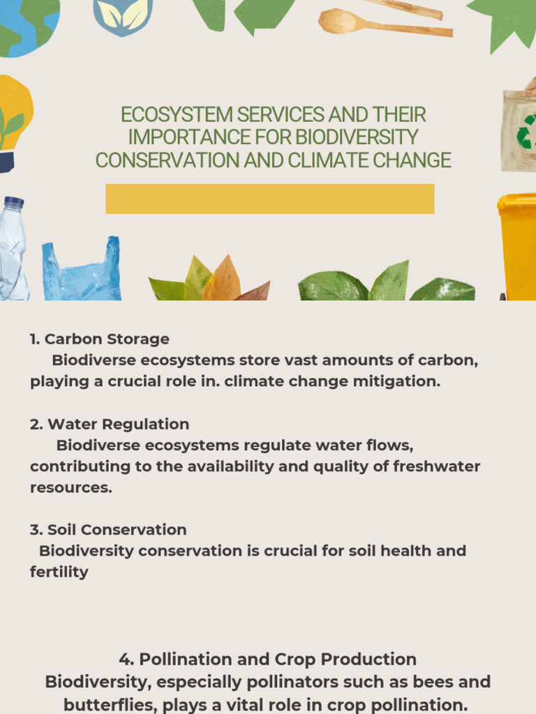 Cream Minimal Sustainable World Presentation - 20251107 - 085853 - 0000 ...