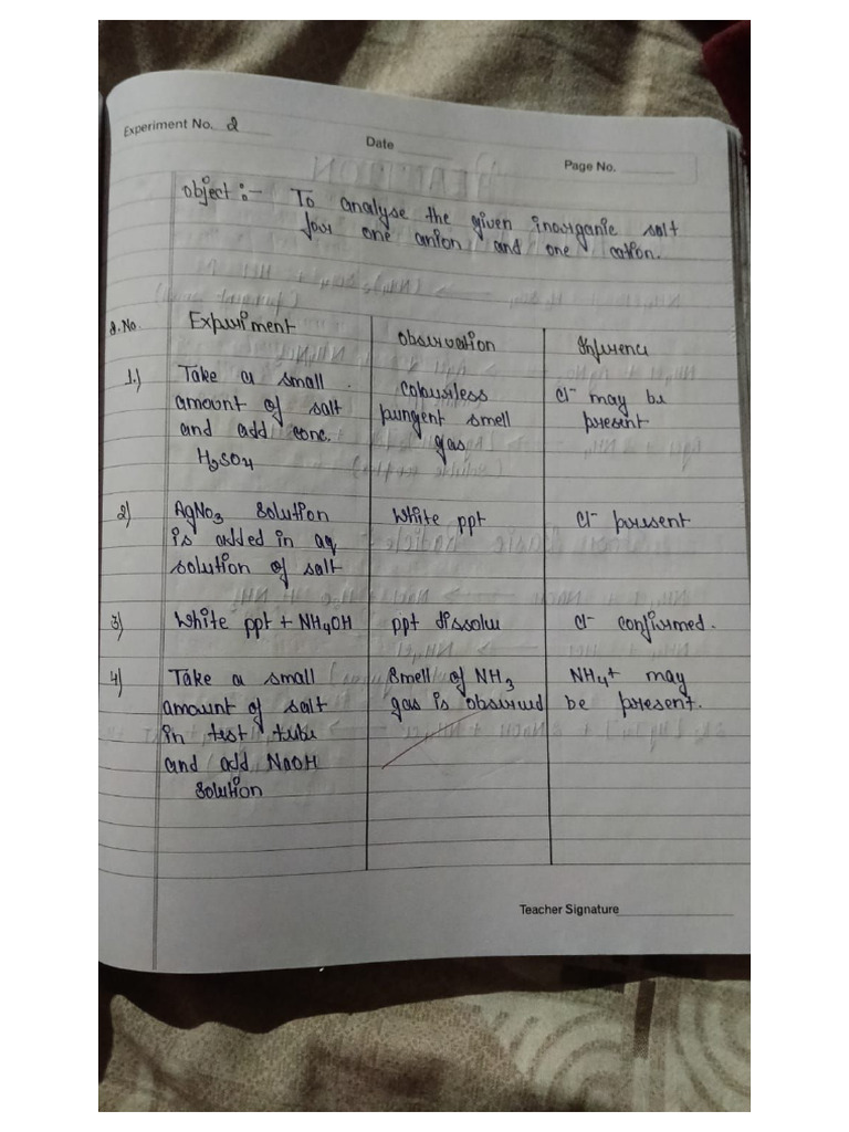 Chemistry Class 11 Experiment 2 | PDF