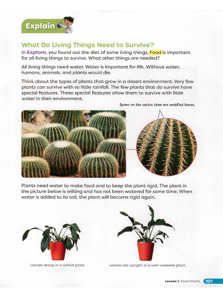 Primary Science-Worktext 6a 2 | PDF