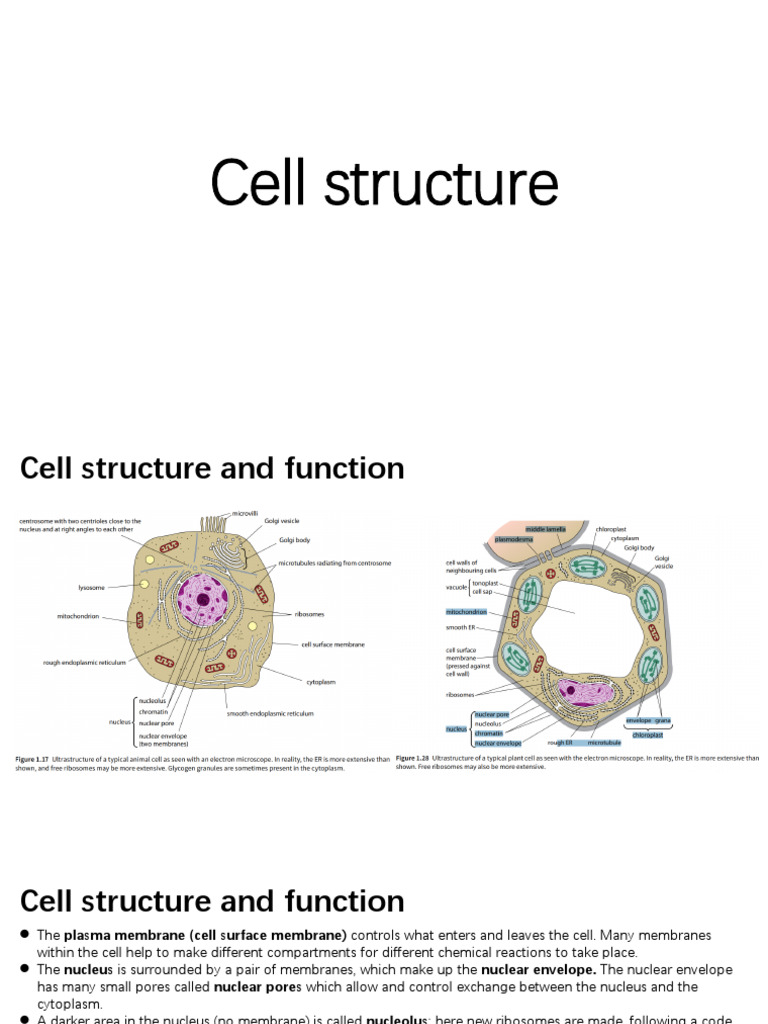 chapter1 2 | PDF | Endoplasmic Reticulum | Cell (Biology)