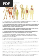 Curios Ida Des Sobre o Corpo Humano