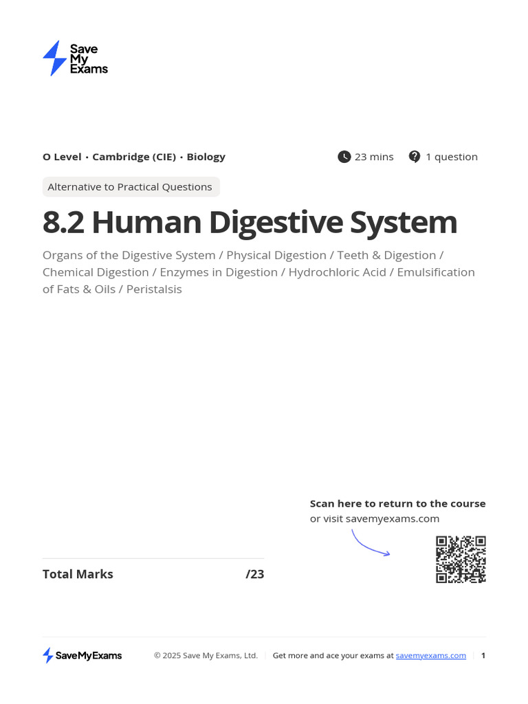 8 2 Human Digestive System FgryBH8R79z82c6y | PDF | Digestion | Biology