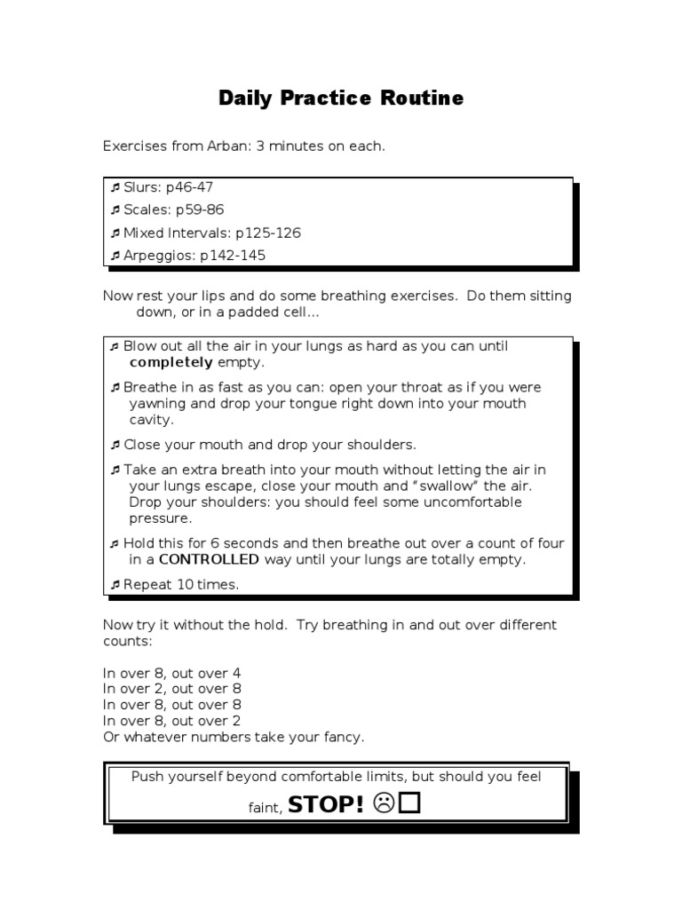 Daily Music Practice Routine Guide | PDF | Language Arts & Discipline