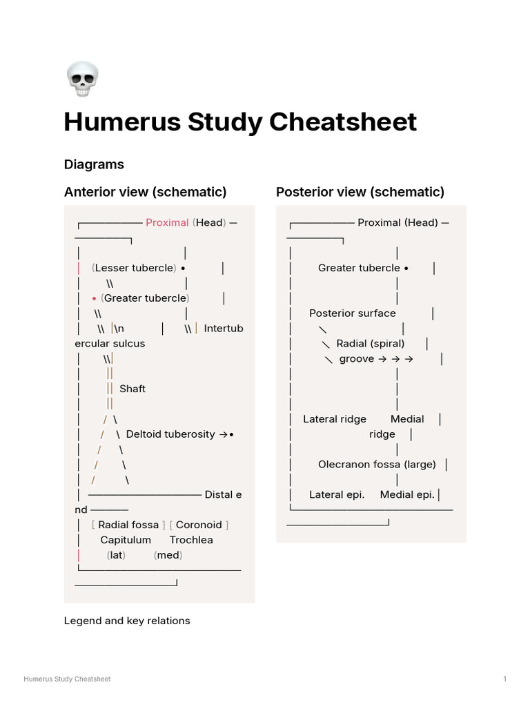 Humerus Anatomy Study Guide | PDF | Limbs (Anatomy) | Human Anatomy