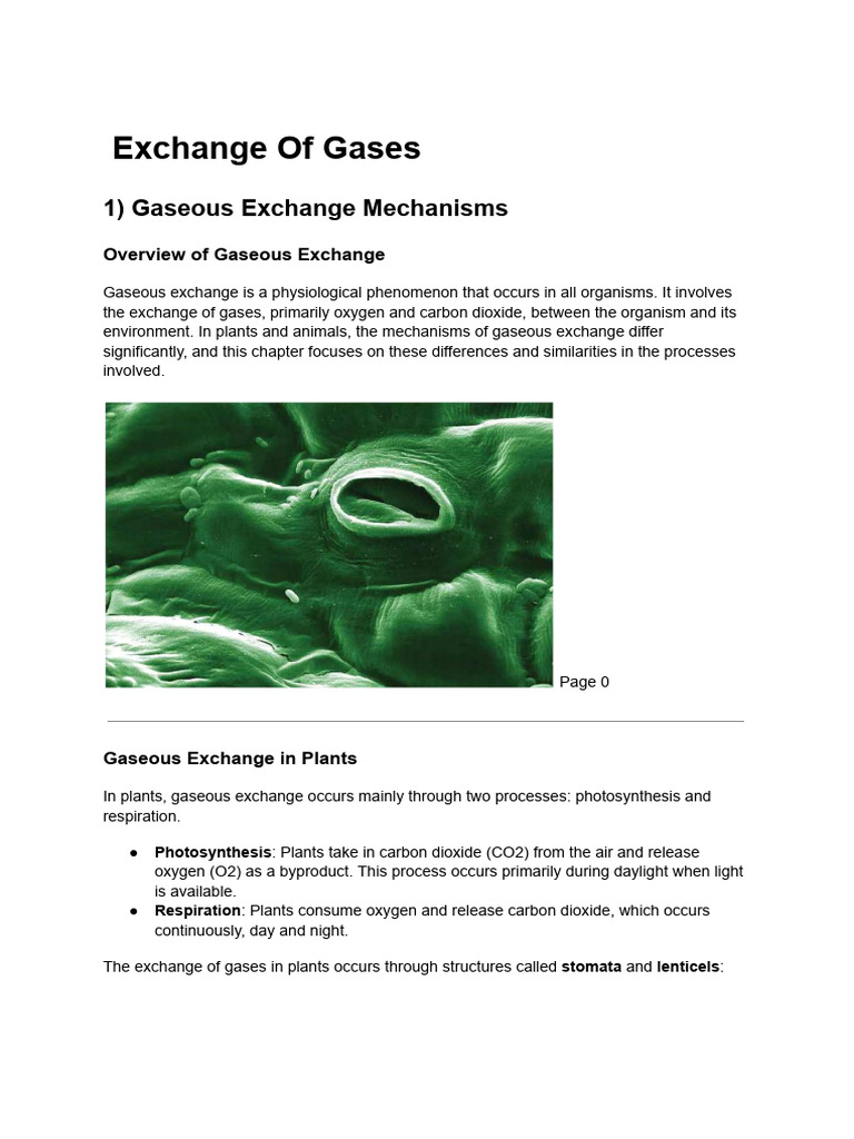 Gaseous Exchange in Plants and Humans | PDF | Lung | Respiratory System