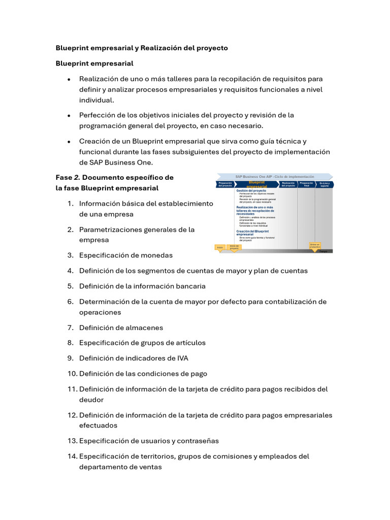 Blueprint Empresarial para SAP Business One | PDF | Software | Informática