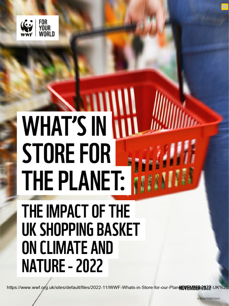 WWF Whats in Store For The Planet | PDF | Natural Environment