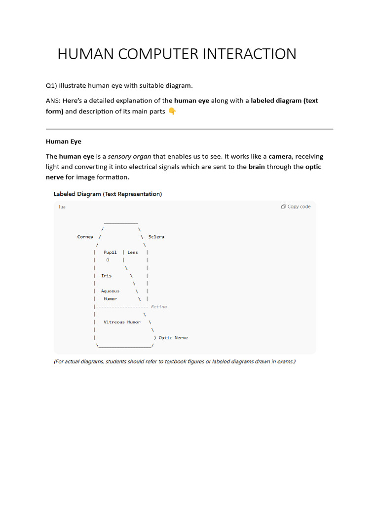 Human Computer Interaction Notes | PDF | Memory | Information