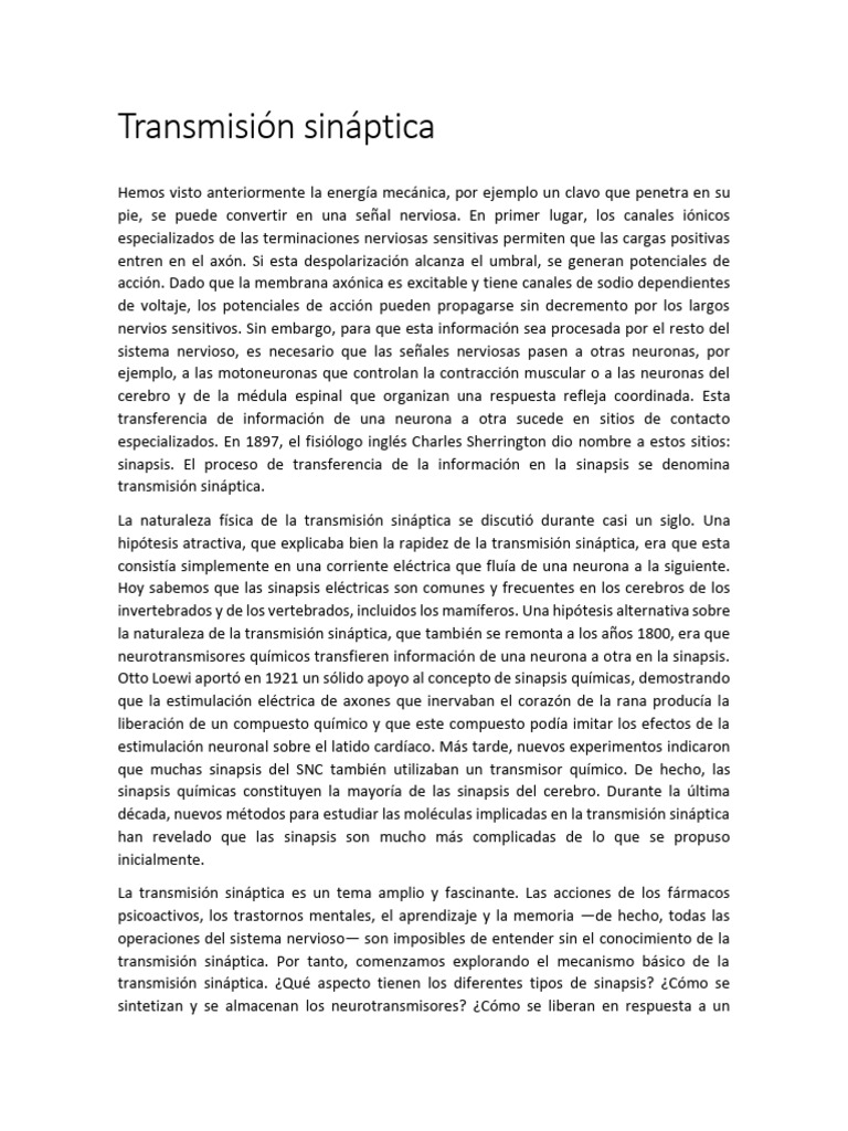 Mecanismos de la transmisión sináptica | PDF | Sinapsis | Neurona